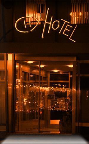City Hotel فالدكرايبورغ المظهر الخارجي الصورة